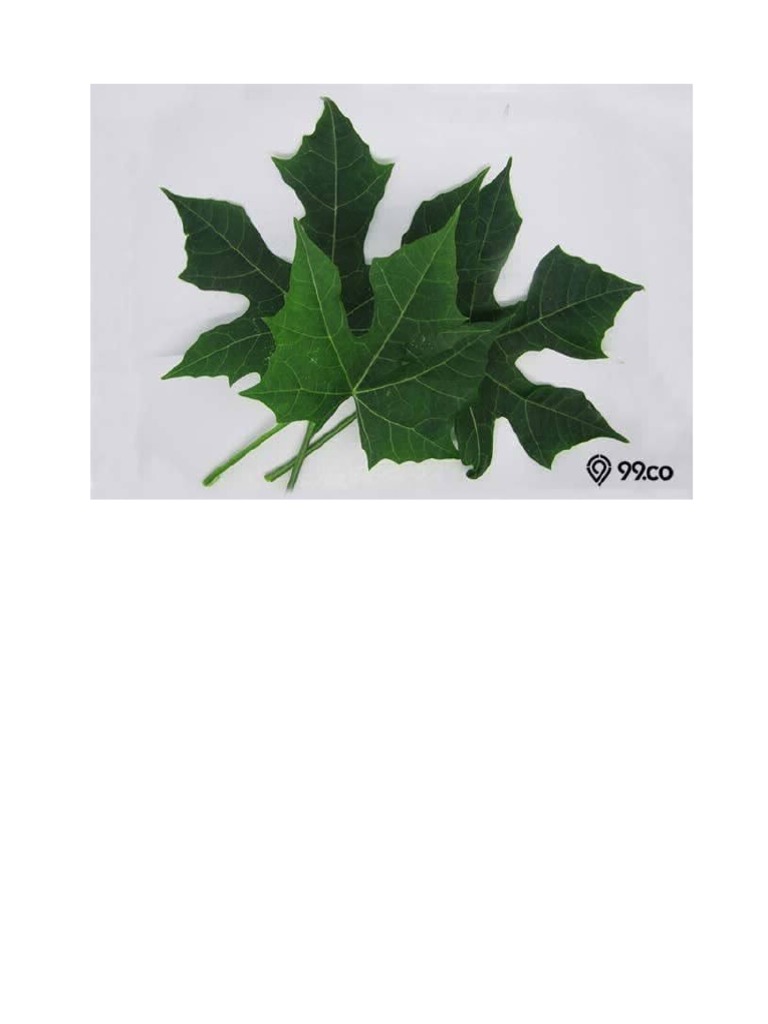 522 | PDF