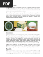 Constituição dos fungos