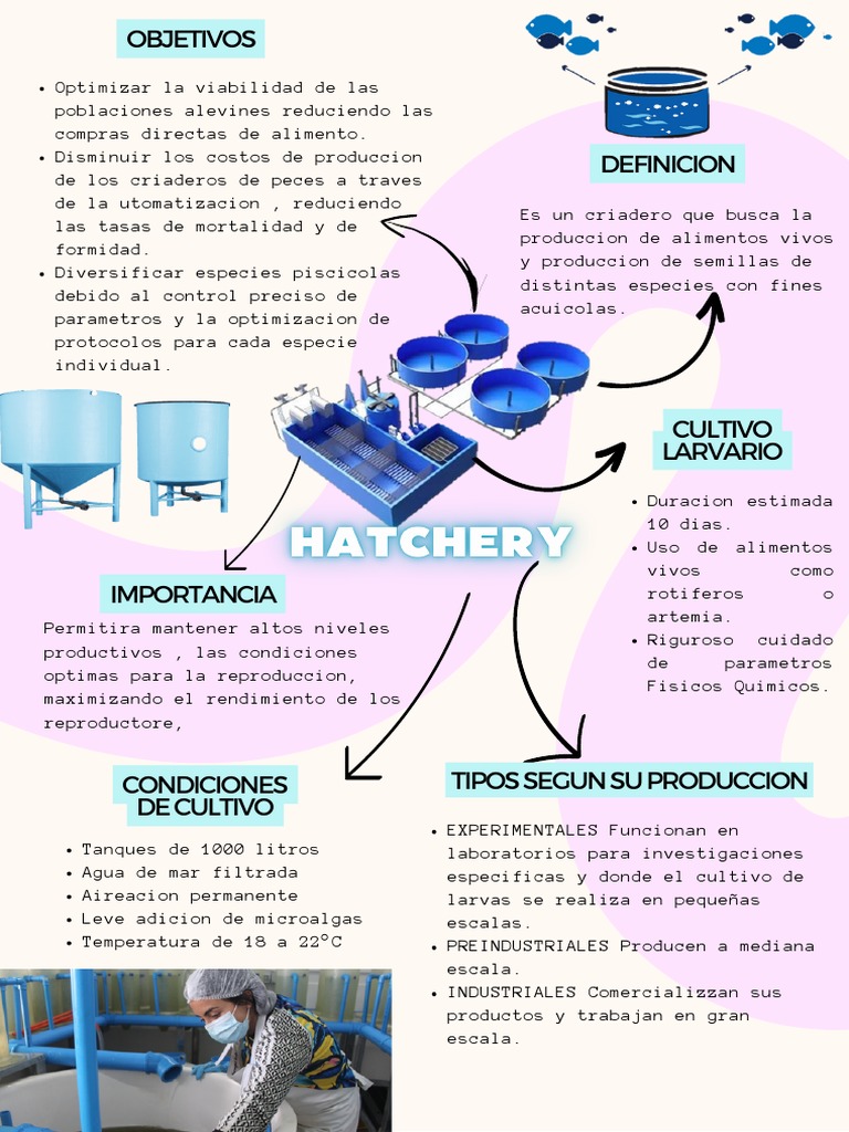HATCHERY | PDF