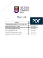 TMC 401 Group Assesment