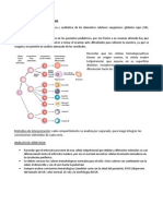 Nterpretación Del Hemograma