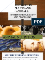 Animal Nutrition Finalppt Lecture