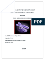 Aberracion Cromosomal Semana 11 PDF
