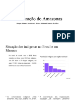 Aculturação Do Amazonas