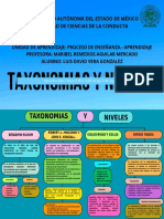 Taxonomías y Niveles