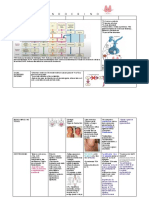 Endocrino