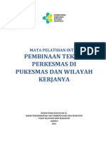 MPI 5. Pembinaan Teknis Utuk Puskesmas