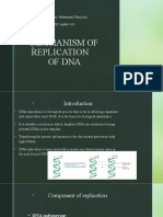 Mechanism of Replication of Dna-mtn-layyah