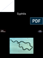 Syphilis