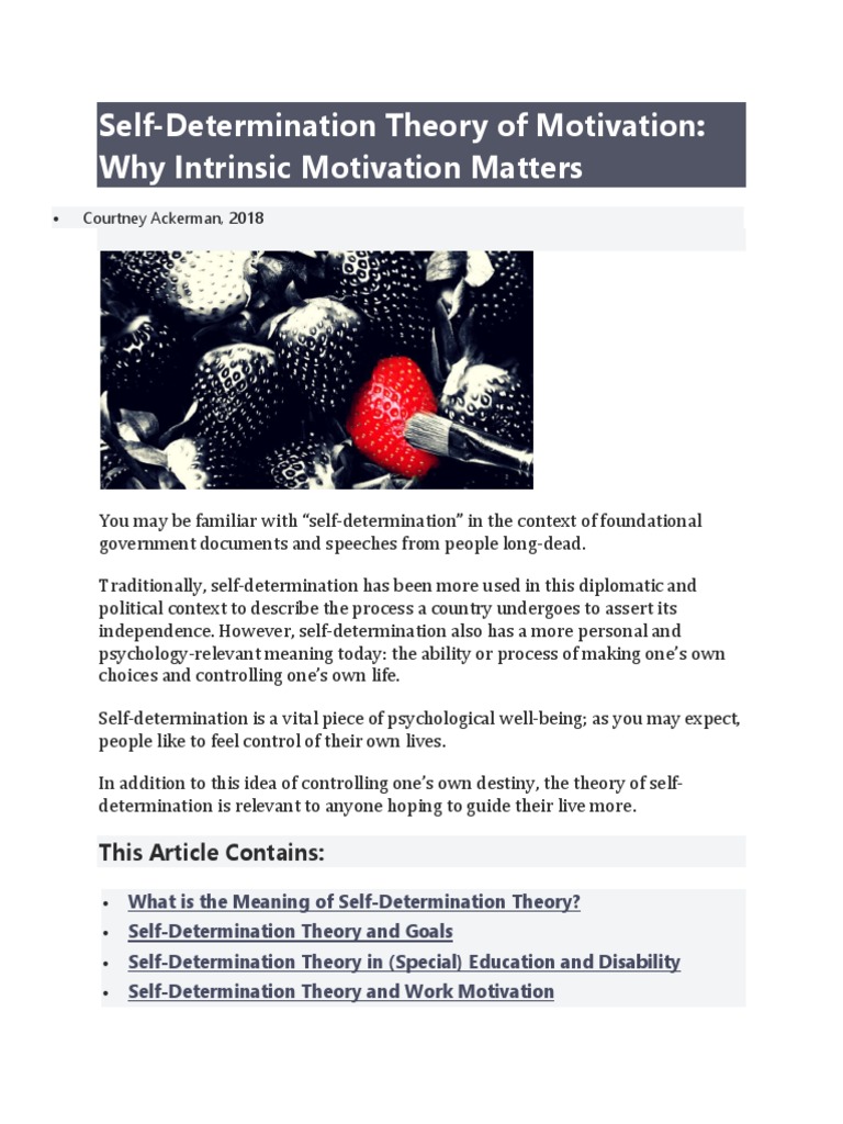 View of Intrinsic Motivation | Download Free PDF | Motivational | Motivation