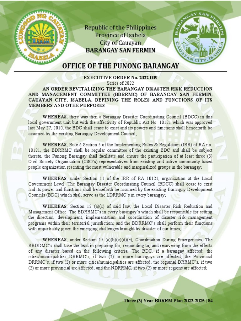 Revitalizing BDRRMC in San Fermin | PDF