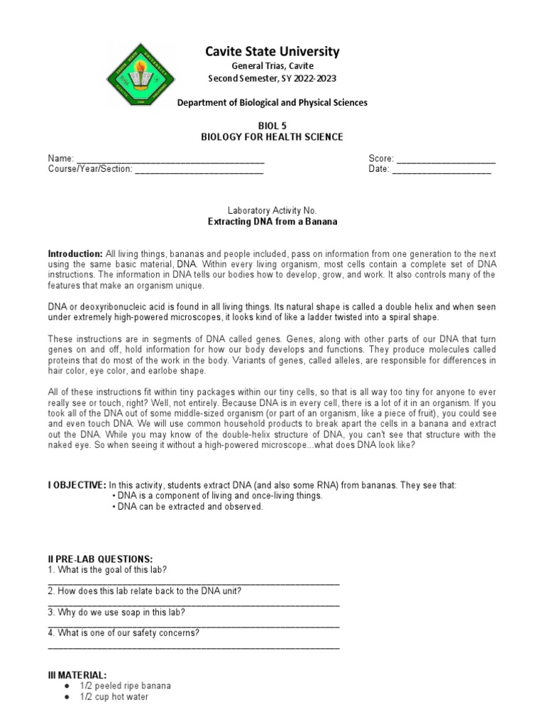 Extracting Dna From Banana PDF Dna Gene