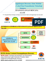 Lembaga-Lembaga Yang Berperan Dalam Penanggulangan Bencana Alam 4