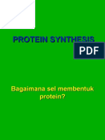 Kul6-Protein Sinthes