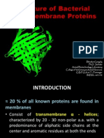 Structure of Bacterial Outer Membrane Proteins