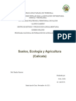 Suelos, Ecologia (Calicata)