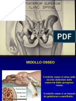 Biopsia Osteomidollare