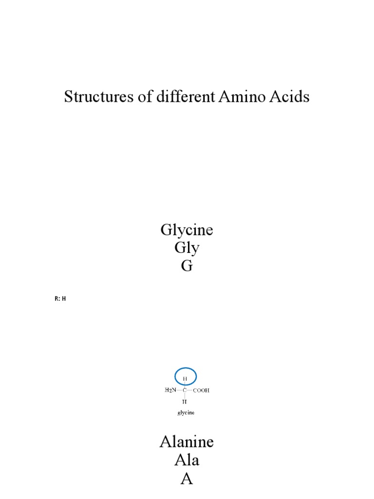 Amino Acid | PDF
