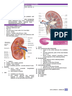 Histo Urinarysystem