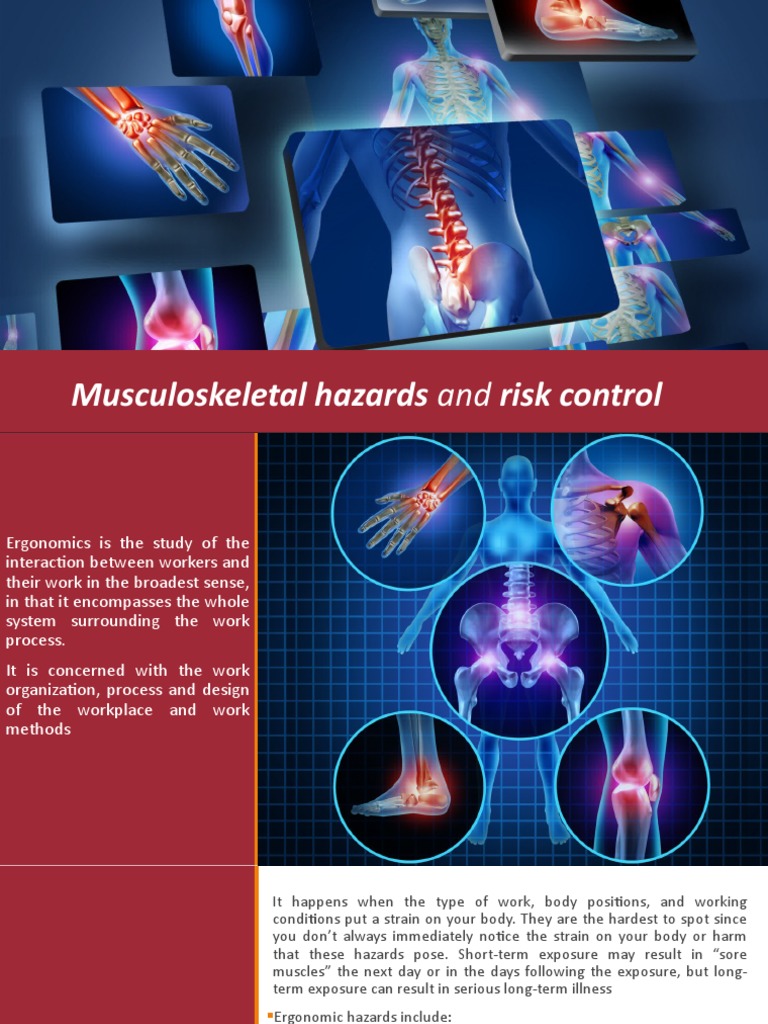 Musculoskeletal Hazards | PDF