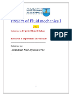 Fluid Mechanics Project Search and Exper