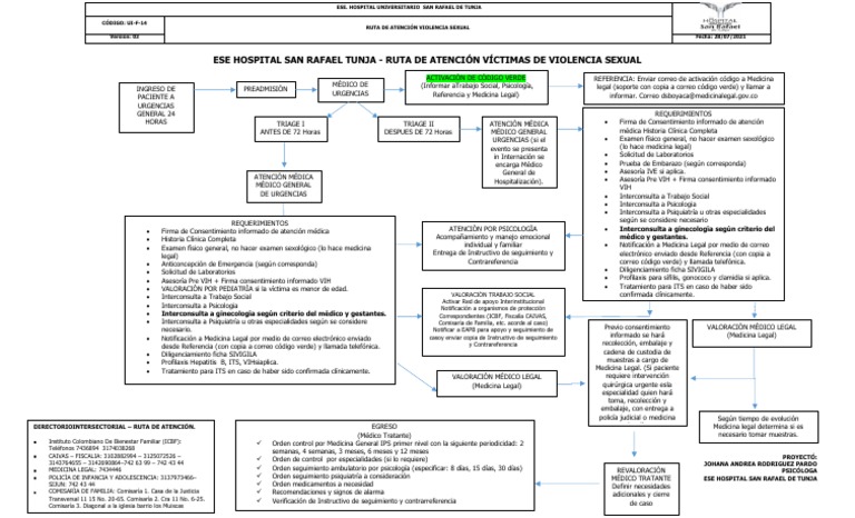 Ruta de Atención a Víctimas de Violencia Sexual | PDF