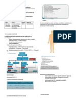 Cetoacidosis Diabética