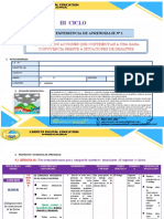 III Ciclo - Experiencia de Aprendizaje - Exp. 01...