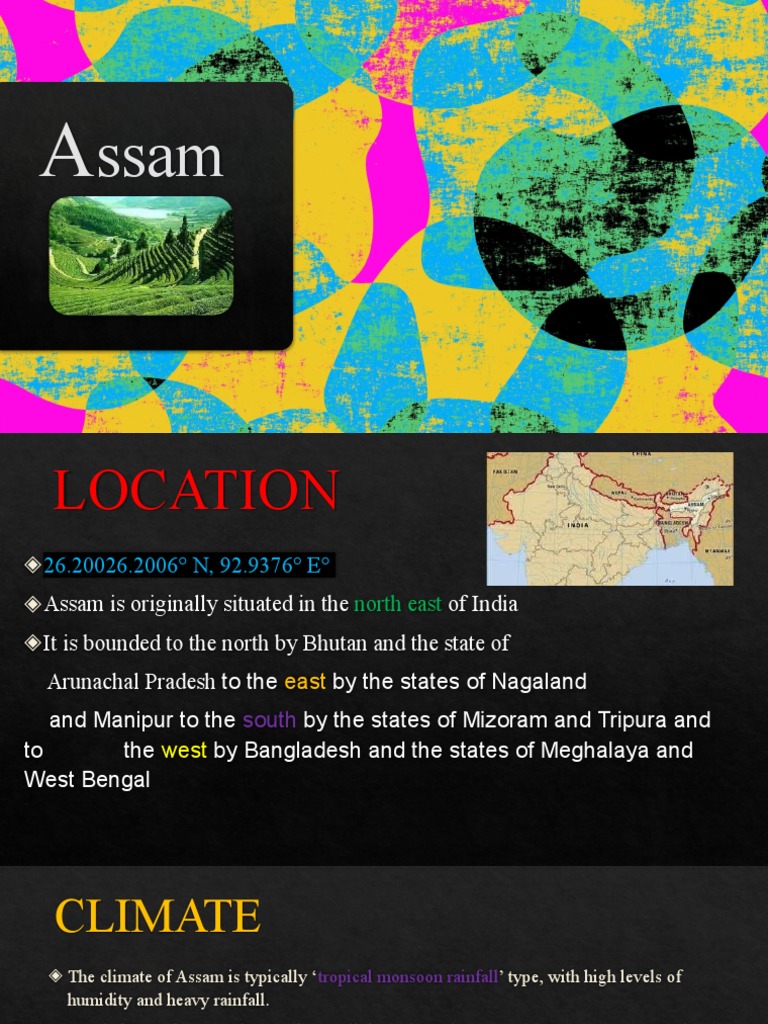 Assam (Geography) PDF