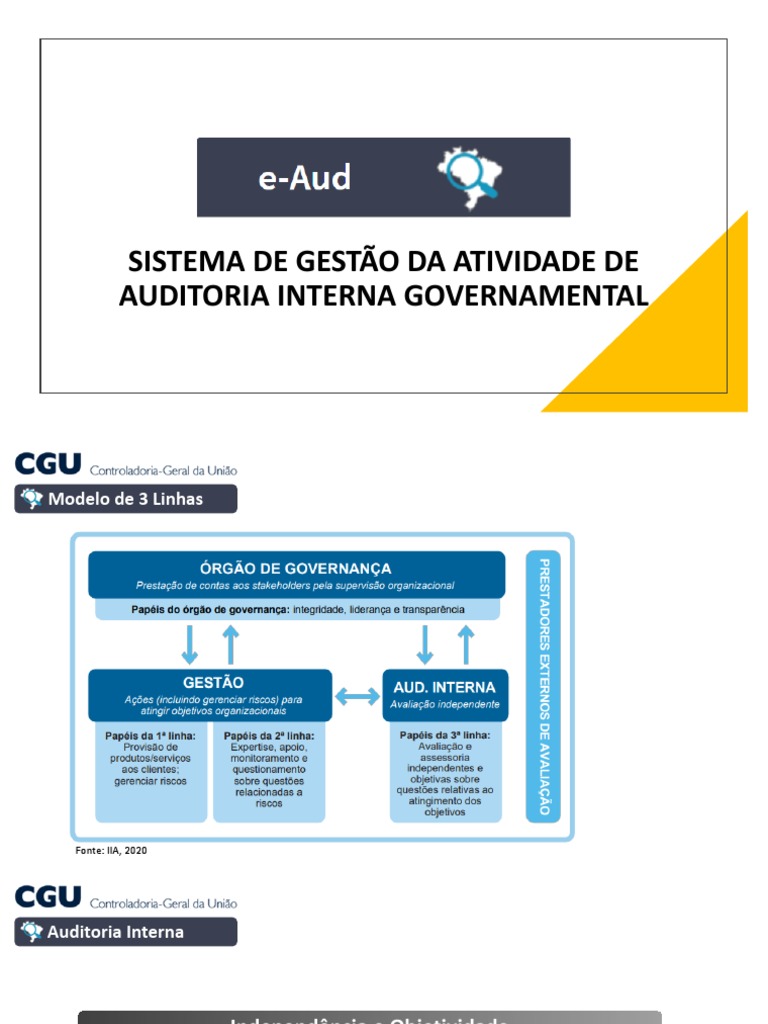 Falhas na Auditoria Interna e Ajustes | PDF | Auditoria interna | Business