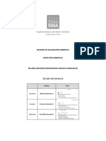 2016.01 - Informe de Fiscalización DFZ-2015-397-VIII-RCA-IA RS Arauco Curanilahue