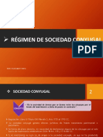 DF Parte 4. Sociedad Conyugal