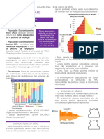 Estrutura Demográfica