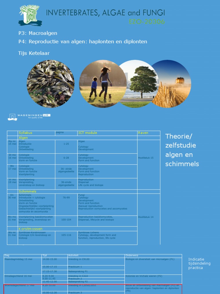 Inleiding algen p3 en p4 2023 pdf
