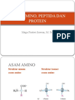 Asam Amino, Peptida Dan Protein