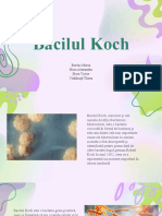 Bacilul Koch