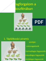 Anyagforgalom A Bioszférában