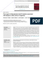 INTA CRSantaFe EEARafaela Neder VE First Report of Mycoplasma Leachii Isolation