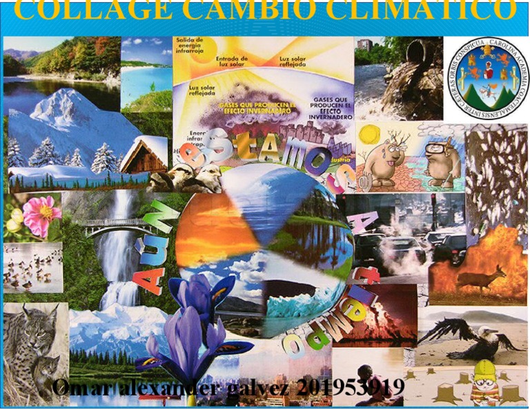 Collage | PDF