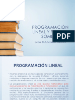 Programación Lineal y Precios Sombra 2022