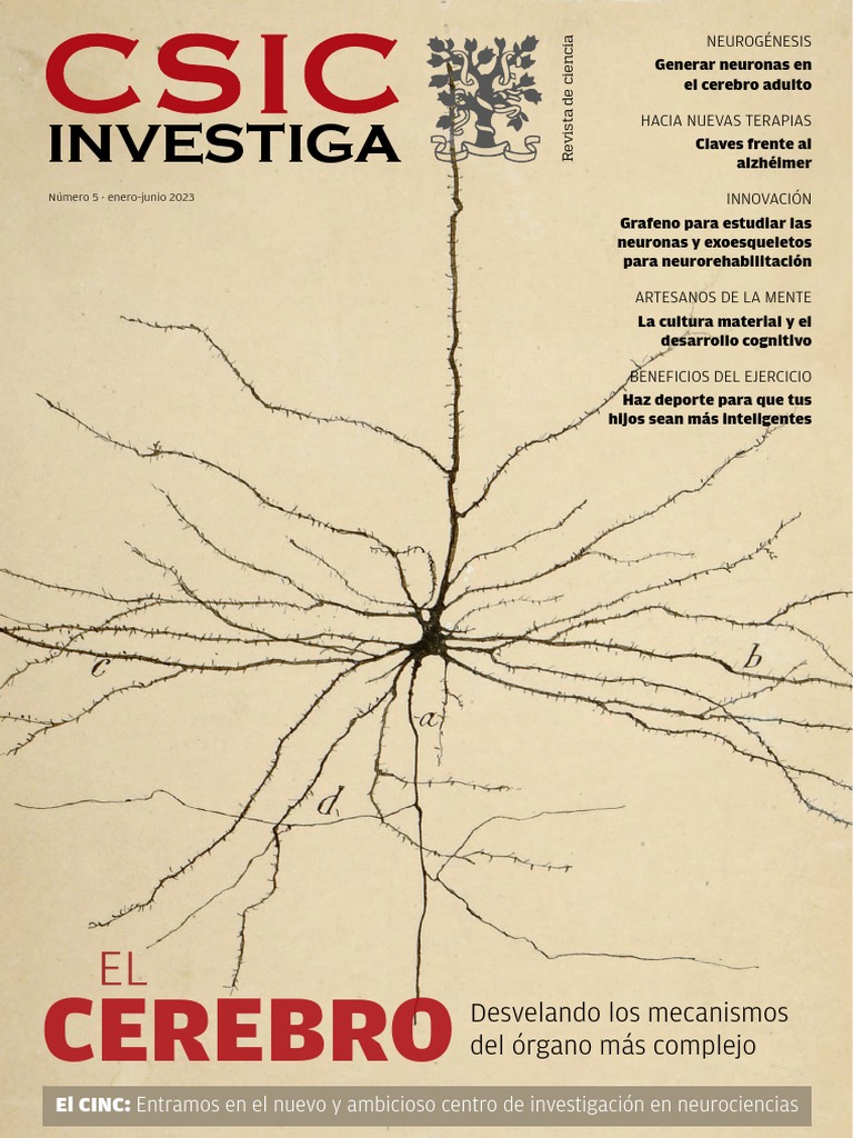 CSIC INVESTIGA Cerebro 2023 | PDF | Cerebro | Neurociencia