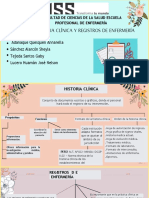 Trabajo Grupal - Historia Clínica y Registros de Enfermería - Sección I