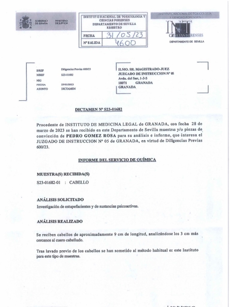 Informe Forense PDF