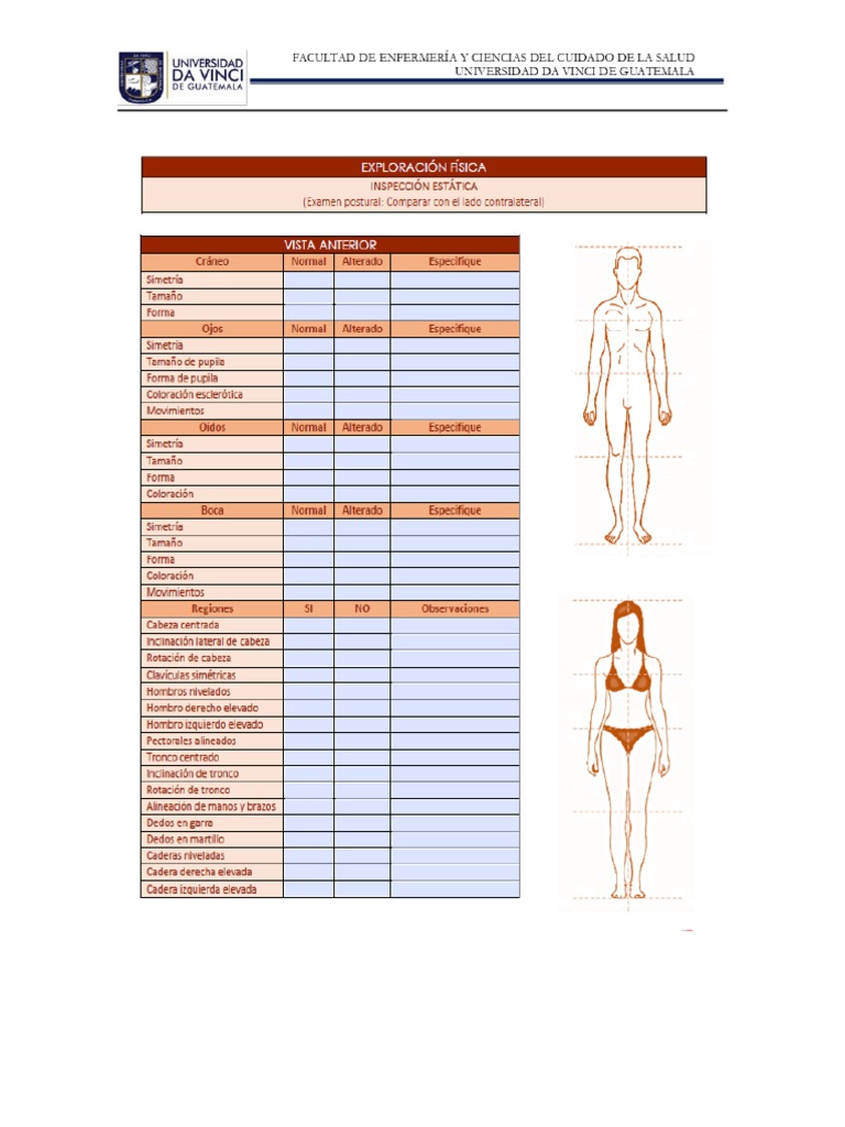 Formato para evaluación del Alineamiento postural (2) | PDF