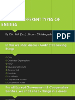 Audit of Different Types of Entities