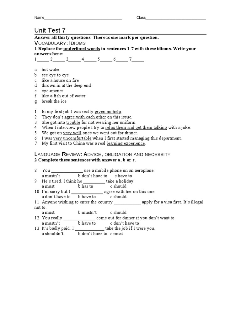 Vocabulary and Grammar Unit Test | PDF