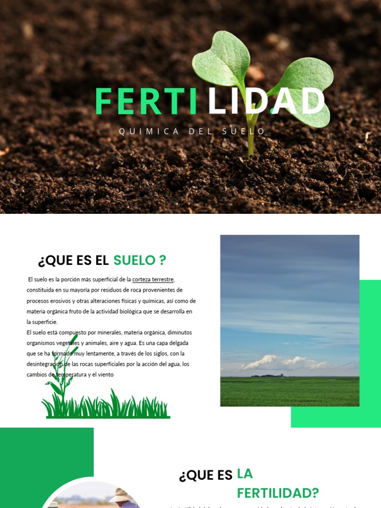 Fertilidad del Suelo: Definición y Tipos | PDF | Ciencia y matemáticas ...