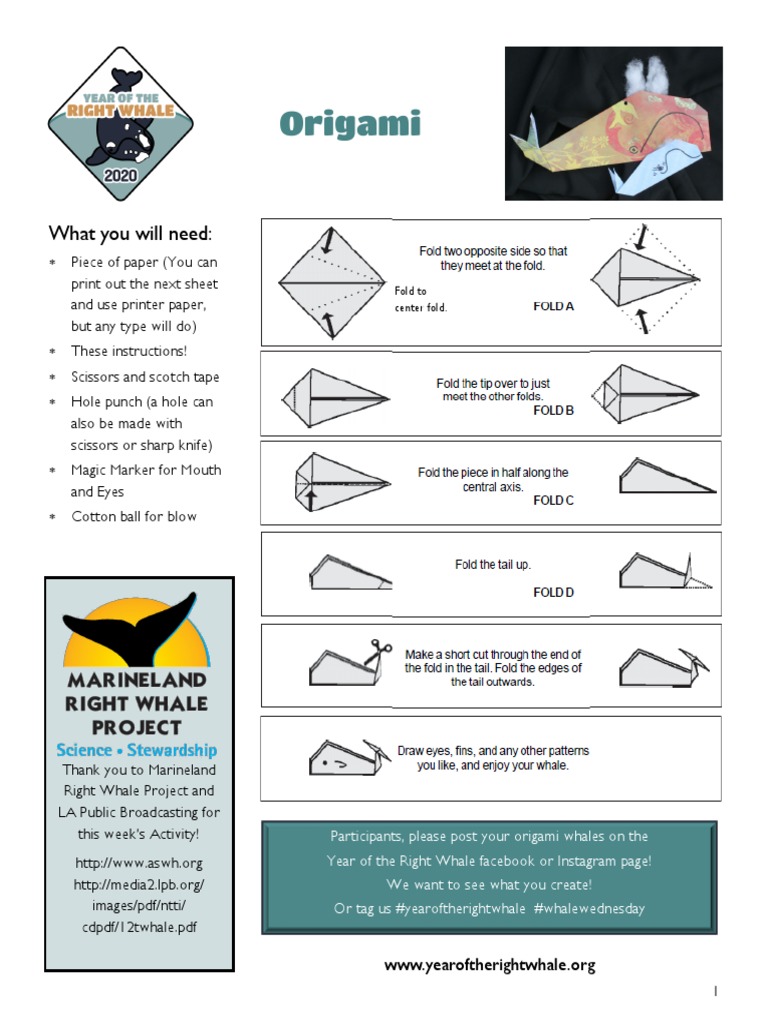Origami Whale Instructions for Kids | PDF | Foreign Language Studies