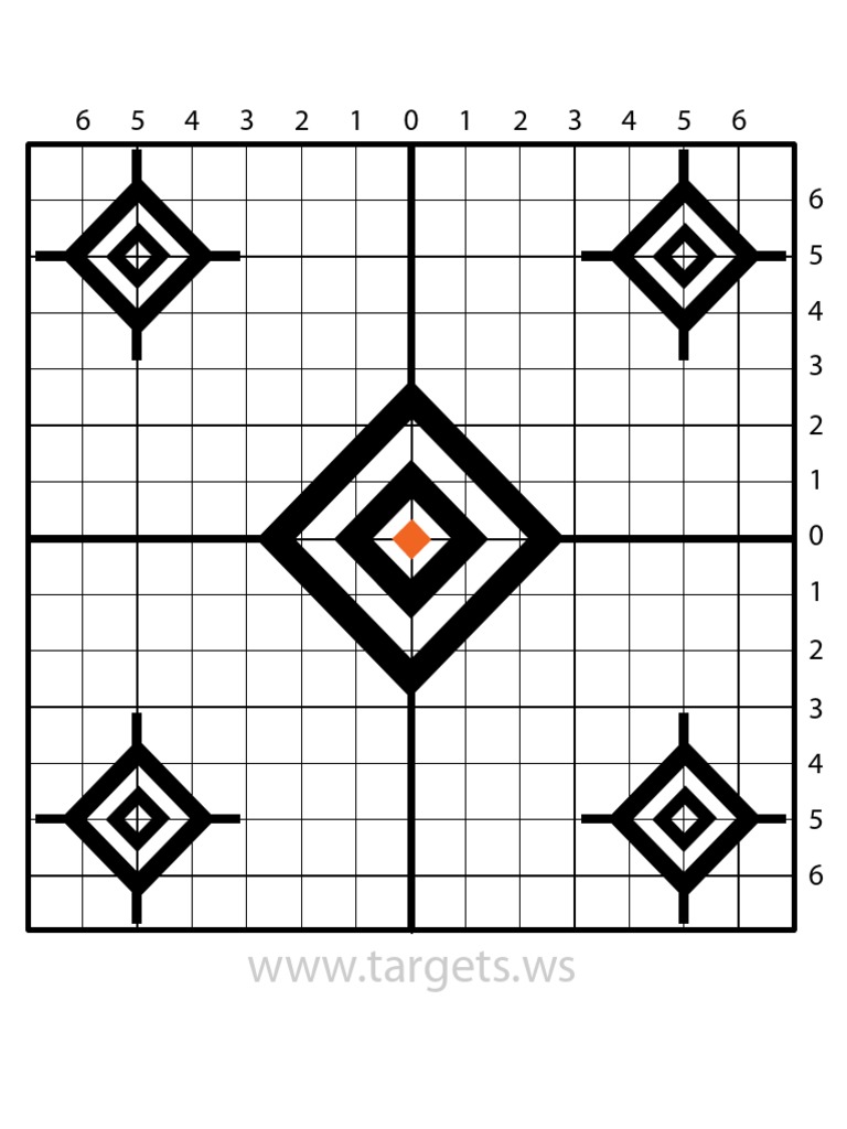 Sight in Target 2 Orange PDF