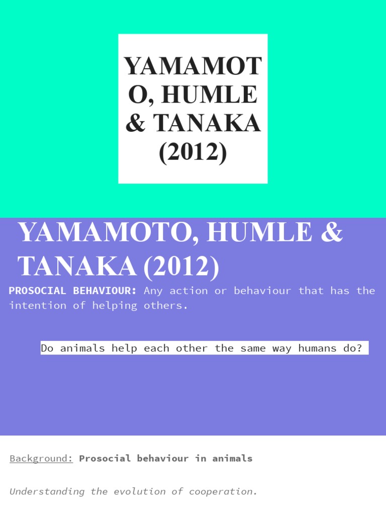 Yamamoto Slides | PDF | Chimpanzee | Experiment
